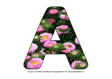 Deko-Buchstaben-Blumen-A-bis-Z.pdf